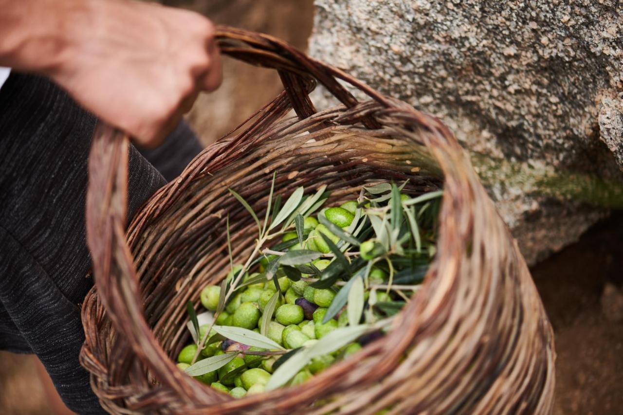 Cascioni Eco Retreat Ξενοδοχείο Arzachena Εξωτερικό φωτογραφία